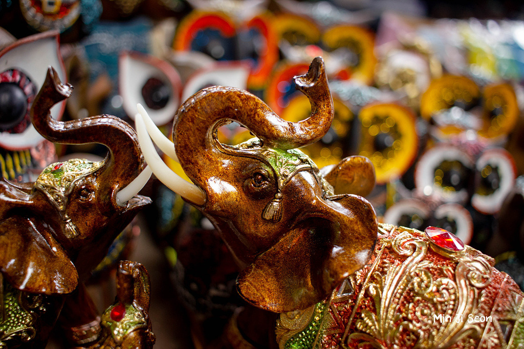 2018년 동안 찍은 C급 사진들 모음입니다 | 인스티즈