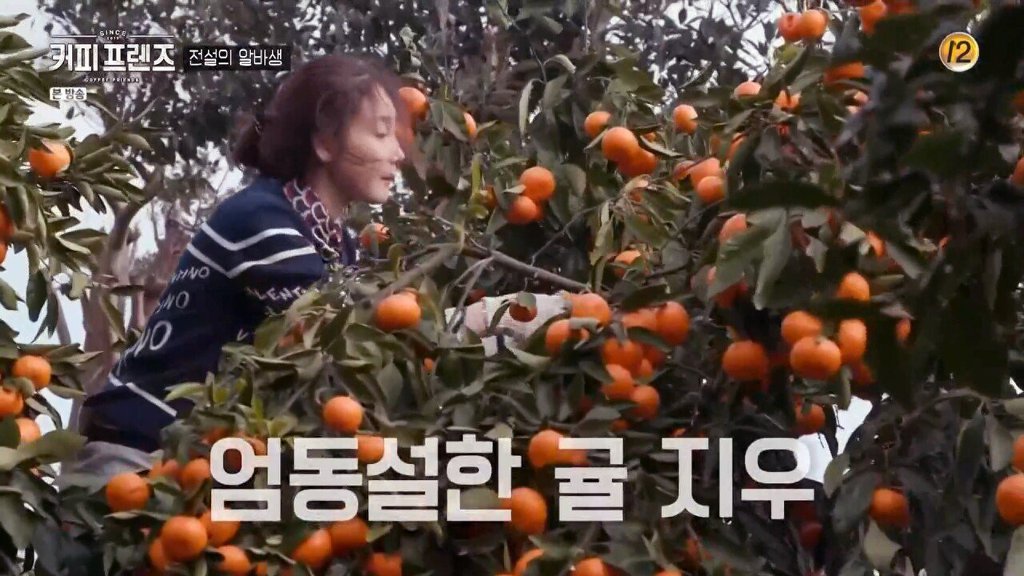 제주도에 알바하러간 백종원 | 인스티즈
