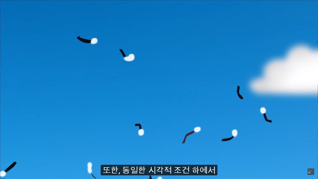 여러분의 눈에 둥둥 떠다니는 그것들은 무엇일까요? | 인스티즈