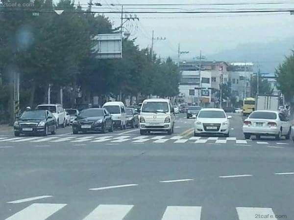 어딘가 어색한 사진들 | 인스티즈