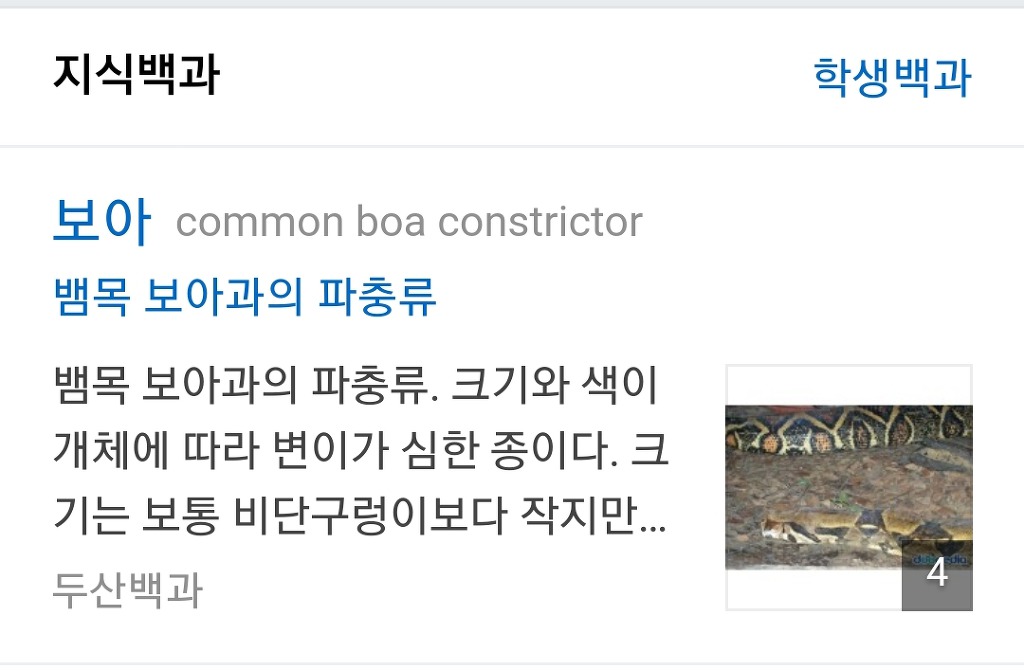 조보아 vs 보아뱀 | 인스티즈