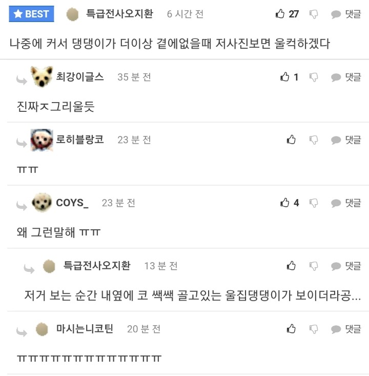 사진 좀 찍을줄 아는 댕댕이.gif | 인스티즈