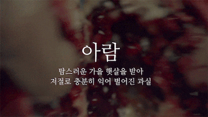뜻이 이쁜 순우리말 모음.gif | 인스티즈