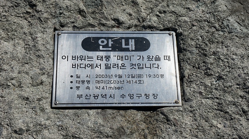 네가 여기 왜 있어?? | 인스티즈