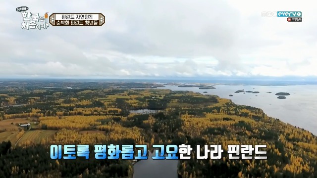 [어서와~한국은처음이지?] 핀란드 20대男들의 유흥문화 | 인스티즈