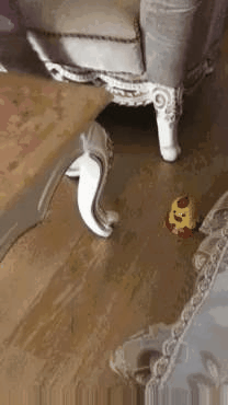 엄마들 열받게 하는 장난감.gif | 인스티즈