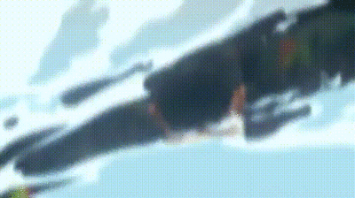 지구에 실존하는 초사이어인들.gif | 인스티즈