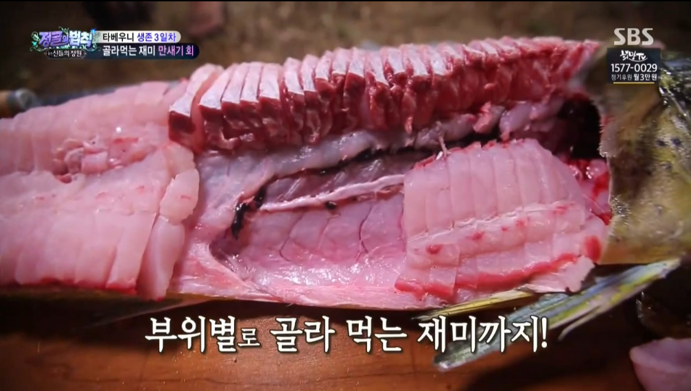 오늘자 정글의법칙 이태곤 회뜨기 클라스 | 인스티즈