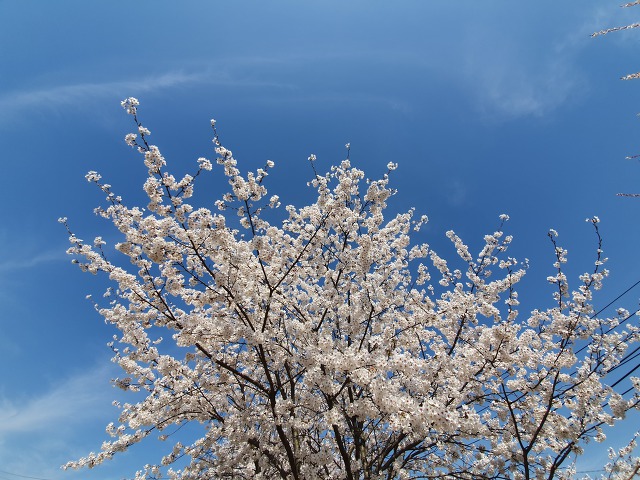 99BFAA3D5CBACBE2155FCA