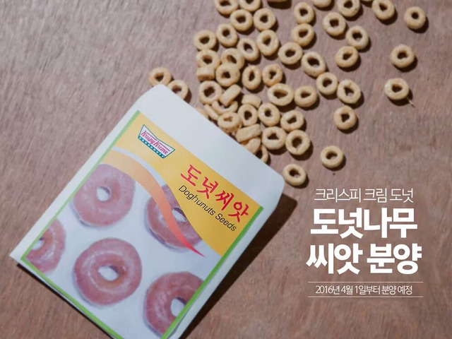 사람들이 잘 모르는 도넛 만드는 법.jpg | 인스티즈