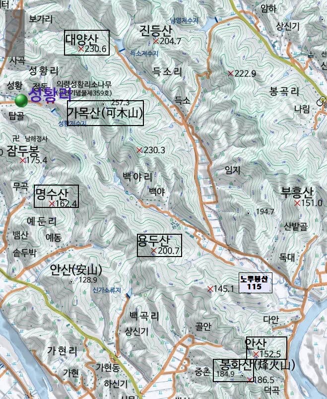 가목 이미지