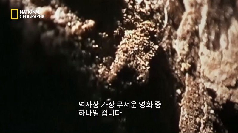 1999년, 새로운 장르의 공포영화가 인터넷을 통해 홍보되다 | 인스티즈