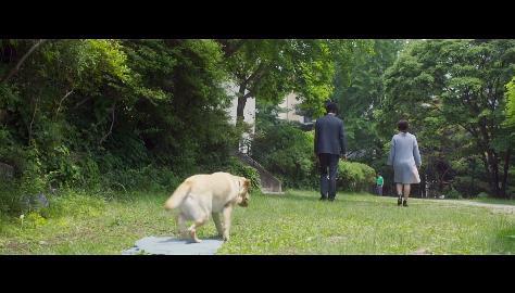 나에게만 그녀가 보이기 시작했다. 천우희 김남길 주연 ＜영화 어느날＞ 06 | 인스티즈