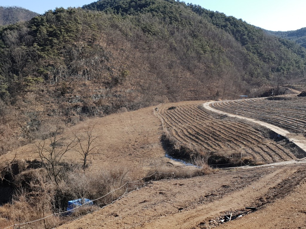 청정지대 이미지