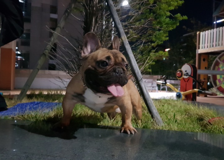 화운 이미지