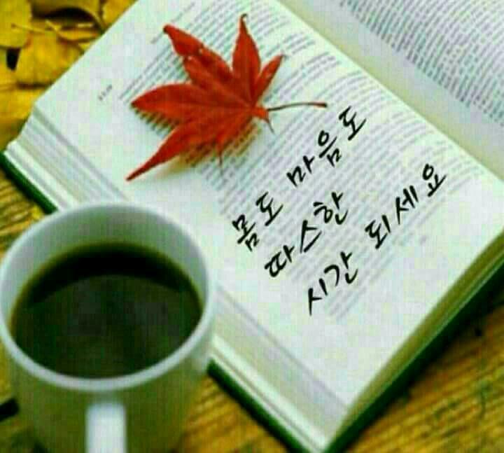 보아유 이미지