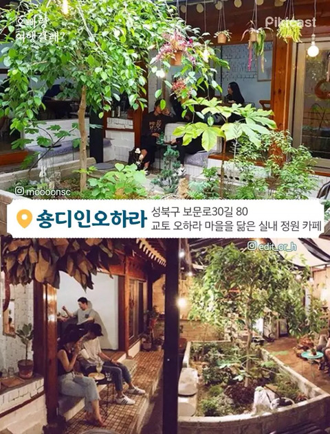 플라워까페 이미지