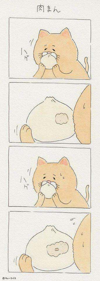 배고픈 고양이 만화 | 인스티즈