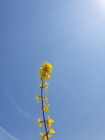 99CC46505CB2B97317CA6C