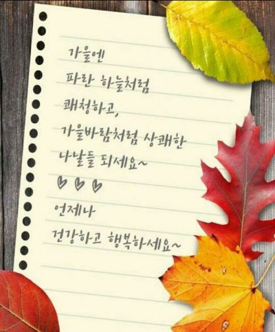 소은 이미지