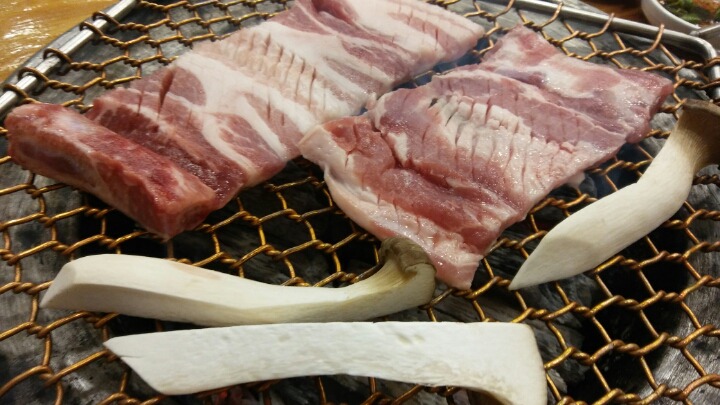 꿀돈 이미지