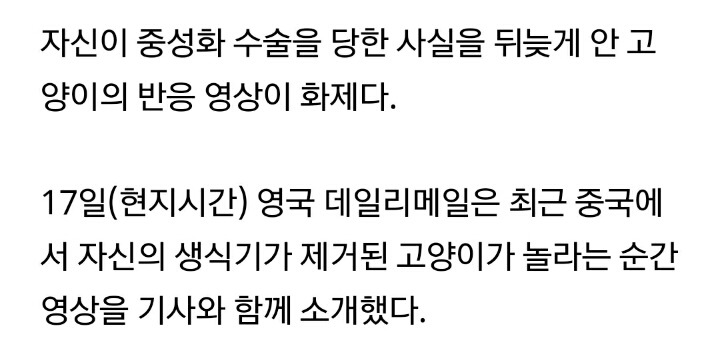 중성화수술 당한 사실 알게 된 고양이 반응 | 인스티즈