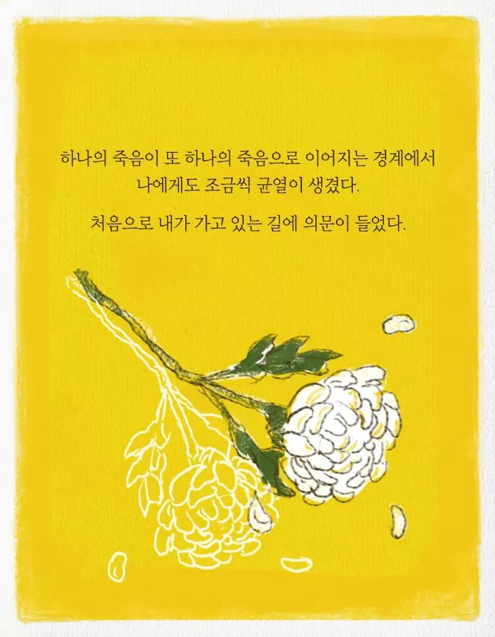 카이스트 다니다가 바나나 농장에 취직한 이유 | 인스티즈