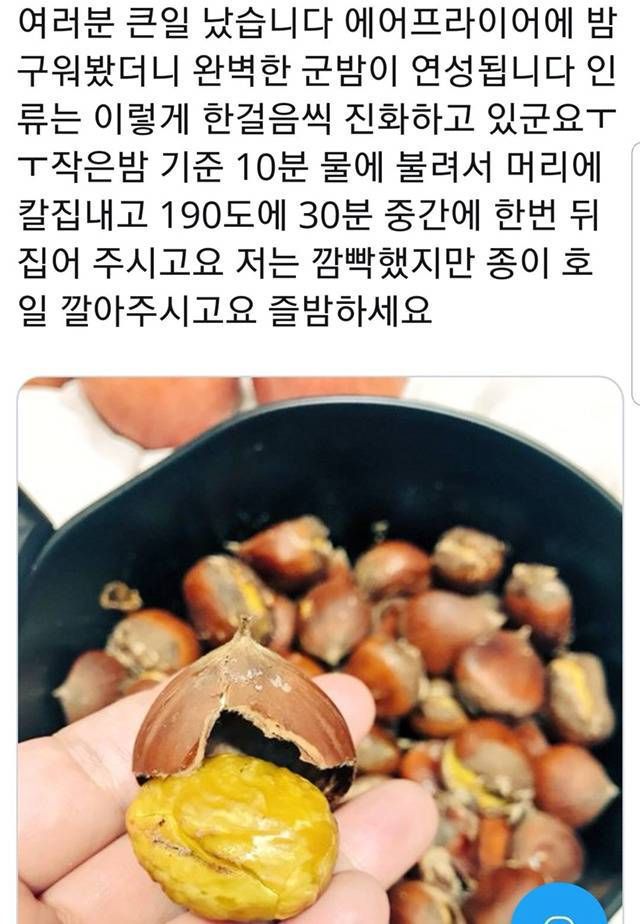 에어프라이어 레시피 모음 | 인스티즈