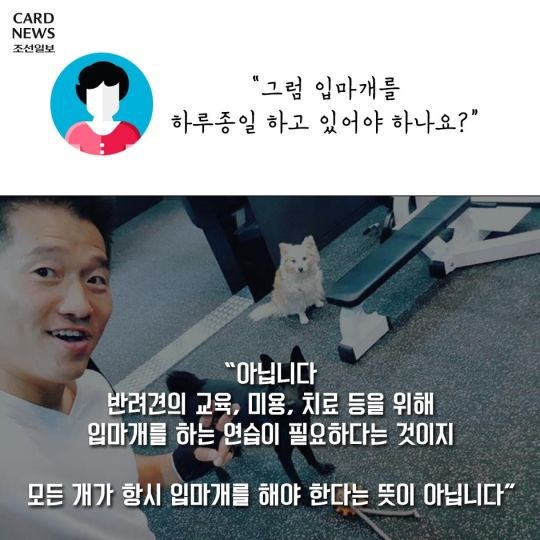 개통령 강형욱이 말하는 입마개 | 인스티즈