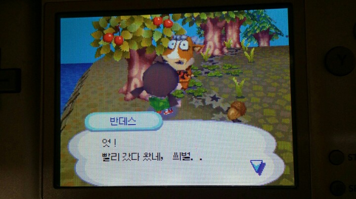 동물의숲 이웃 말버릇을 씌벌로 했더니 | 인스티즈