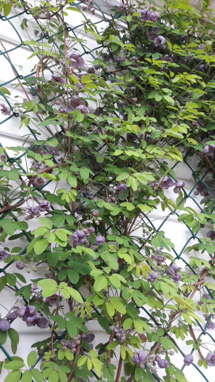 덕이식당 이미지