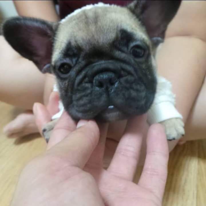 구일 이미지