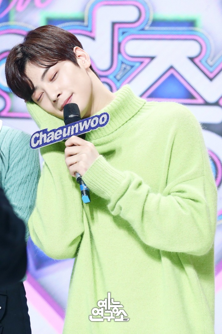 엠씨투어 이미지