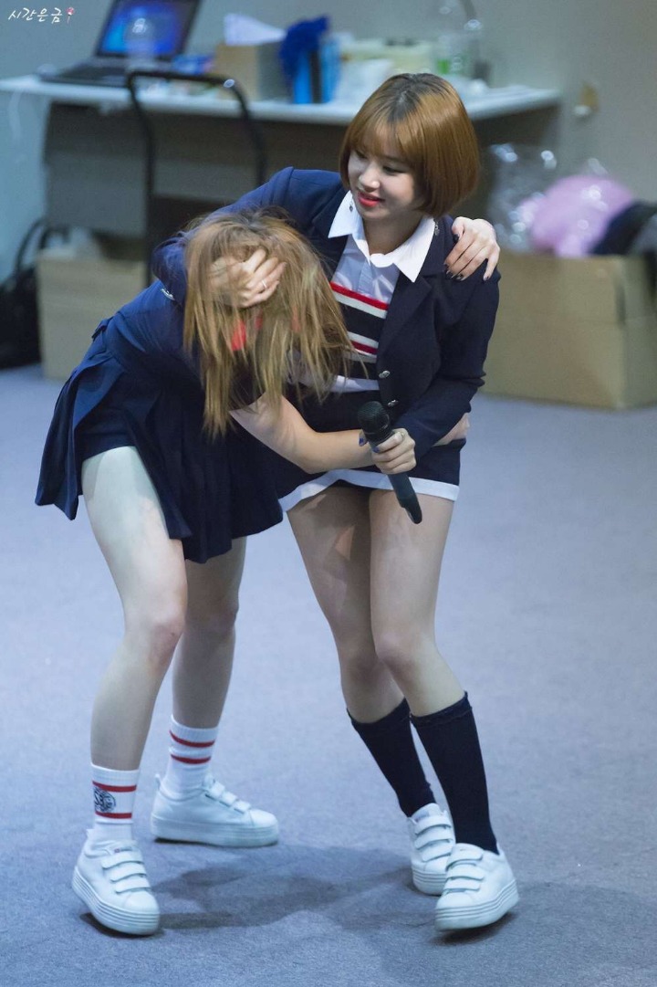 아기 호랑이한테 잡아먹히는 사나.jpg | 인스티즈