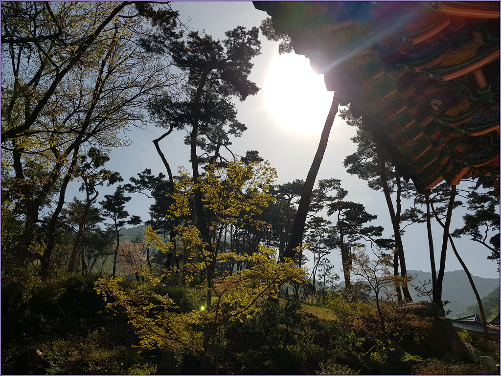 리딩브레인 이미지