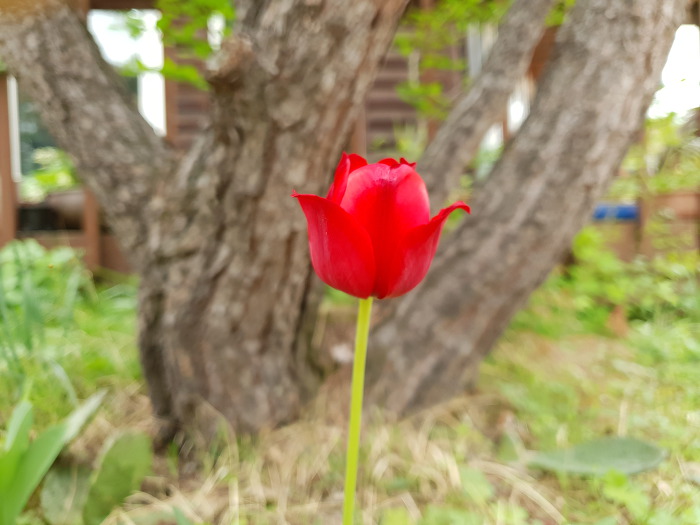 99DD393E5CC64EFD272A0B