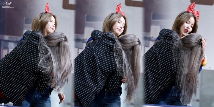 별콩 이미지