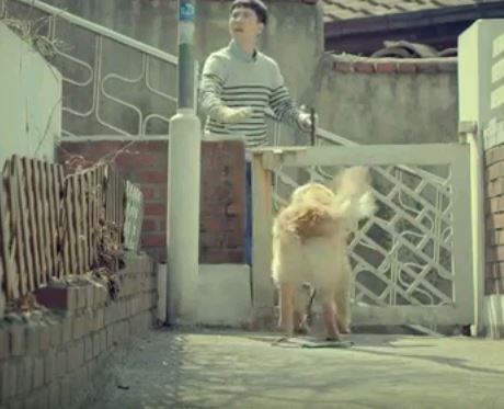 보면서 처음으로 눈물났던 뮤비(화질구지주의) | 인스티즈