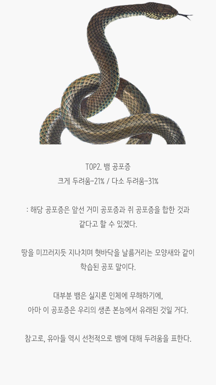 사람들이 겪는 공포증(무서운 사진 없음) | 인스티즈
