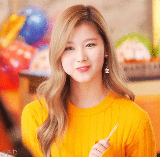오늘이 생일인 트와이스 사나.jpgif (335장) | 인스티즈