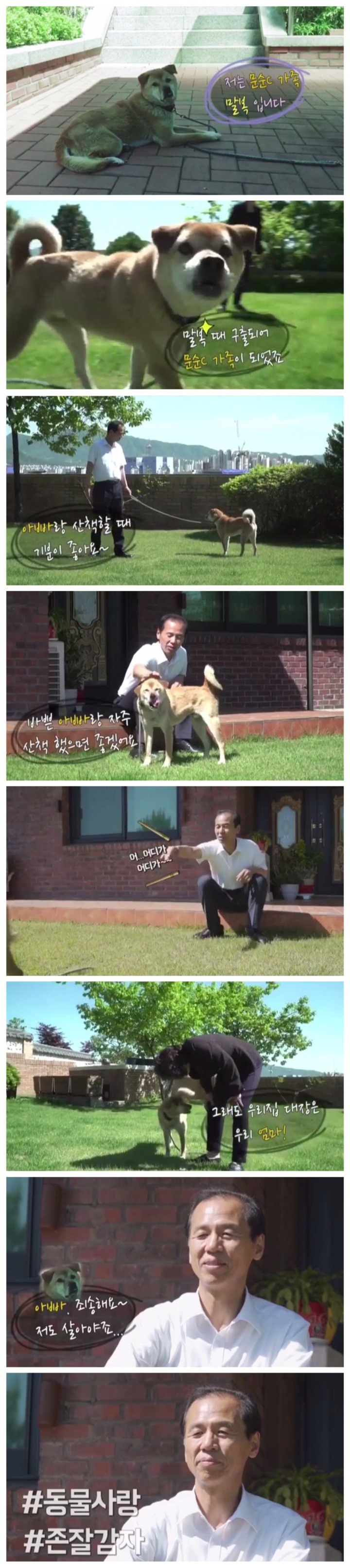 최문순 도지사 반려견 | 인스티즈