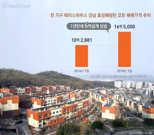 테라스203 이미지