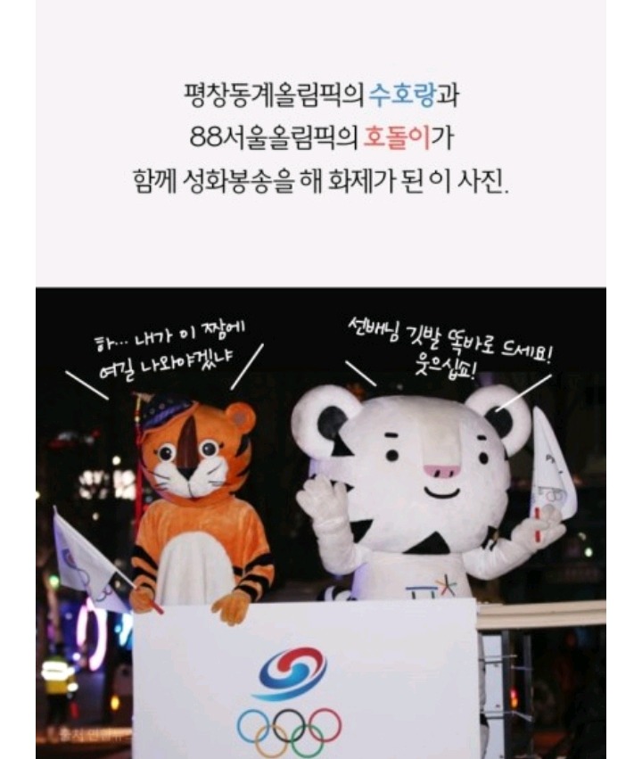 다시는 호돌이를 무시하지마라 | 인스티즈