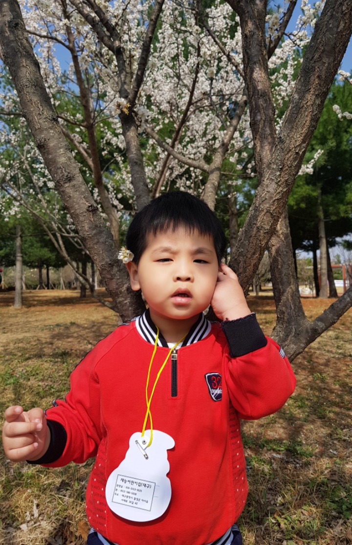 서재체육공원 이미지