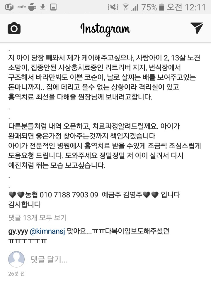버려지다 못해 홍역까지 앓고 있는 댕댕이 좀 도와줄 수 있을까? 소액도 좋아! | 인스티즈