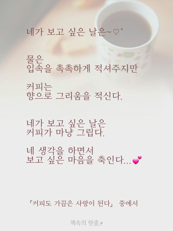 오월의아침 이미지