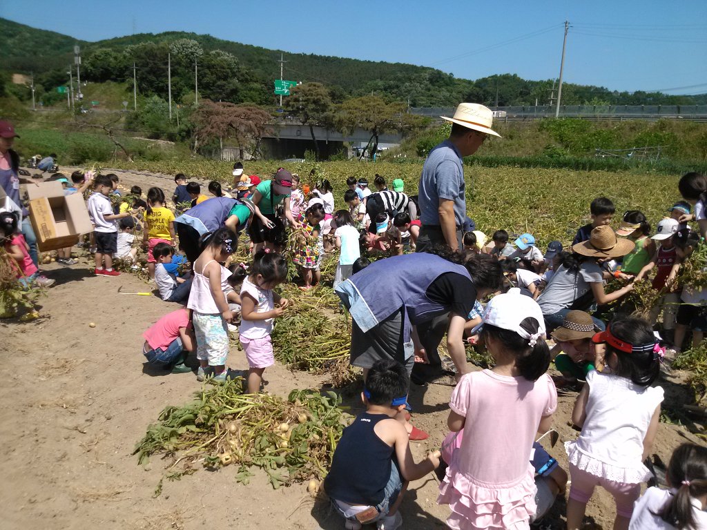 수지현대어린이집 이미지