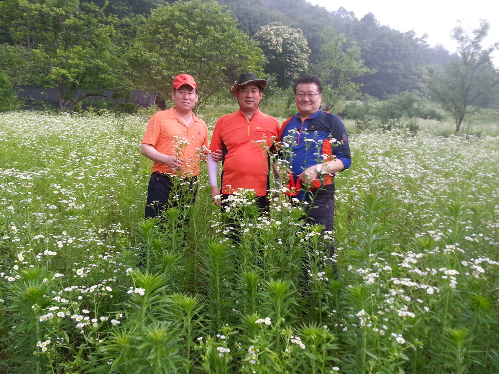 이수건축사사무소 이미지